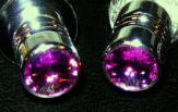 purple-valvestem-cap